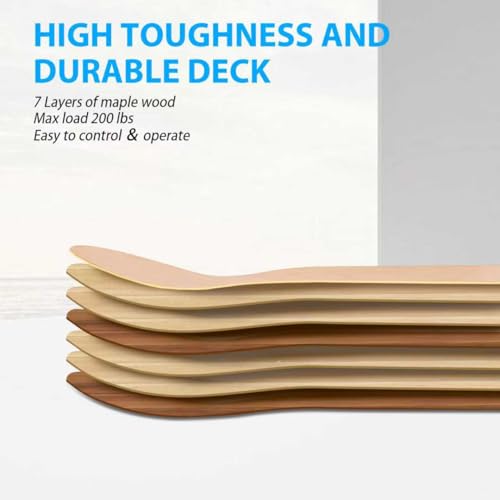 2PCS Skateboard Deck, 31 * 8 Inch 7-Layer Maple Blank Skateboard Deck, Double-Kick Skate Deck – Image 4