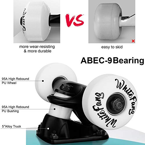 WhiteFang Skateboards for Beginners, Complete Skateboard 31 x 7.88, 7 Layer Canadian Maple Double Kick Concave Standard and Tricks Skateboards for Kids and Beginners – Image 4